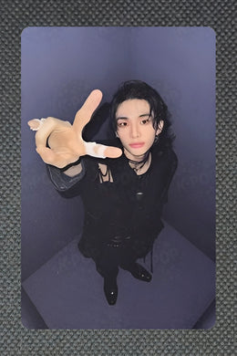 贤辰 2