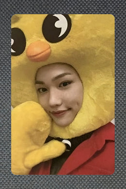 FELIX