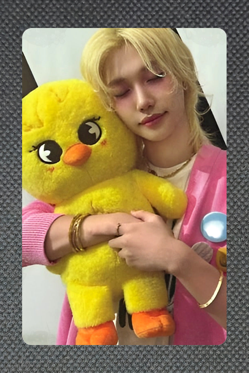 Stray Kids Stray Kids World Tour dominATE : celebrATE SKZOO PHOTOCARD TINCASE HAN