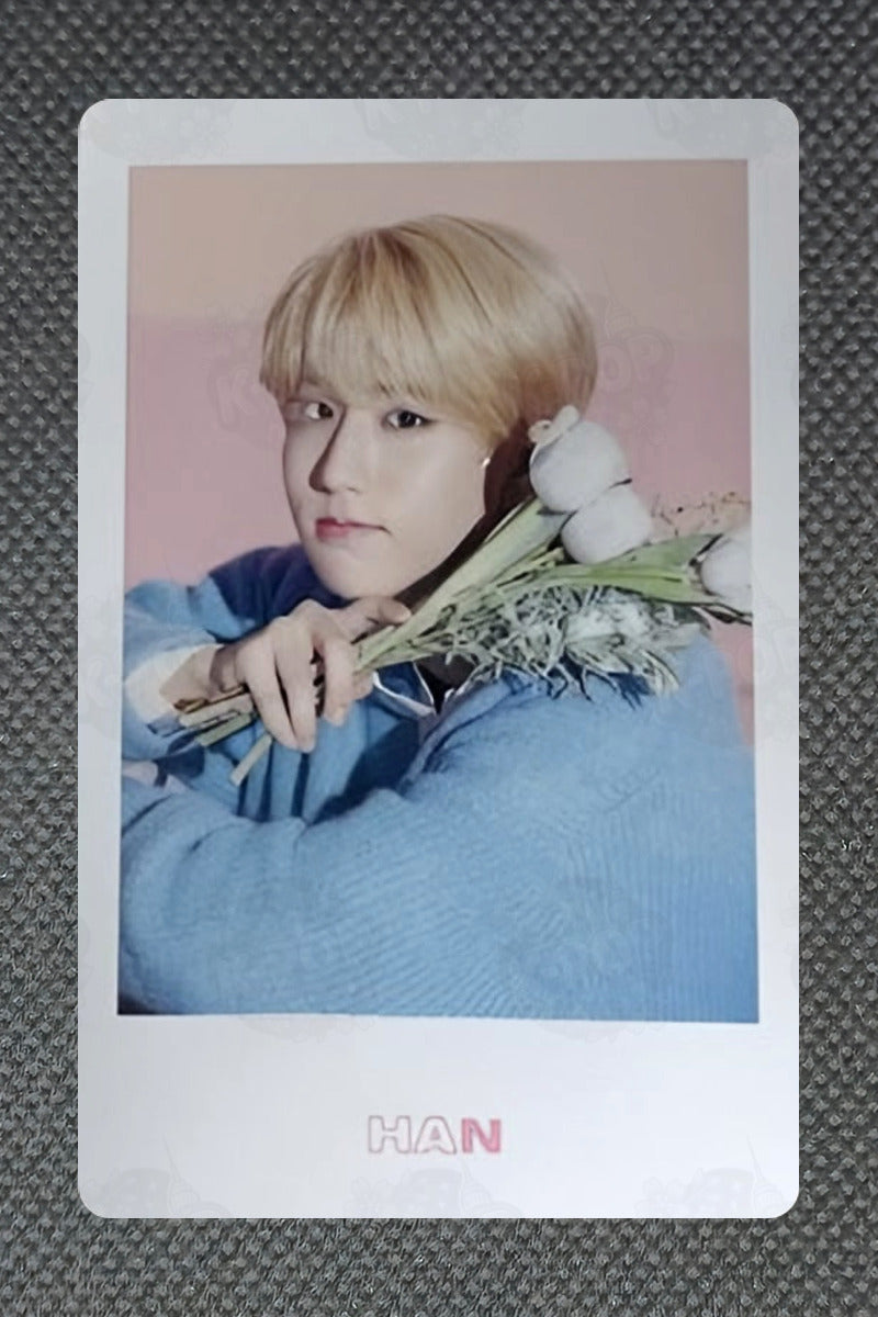 Stray Kids Stray Kids World Tour District 9 : Unlock in JAPAN Photo card set I.N