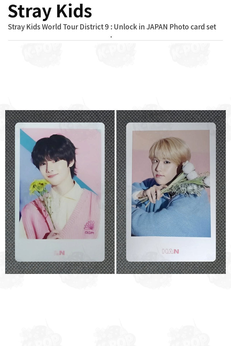 Stray Kids Stray Kids World Tour District 9 : Unlock in JAPAN Photo card set I.N