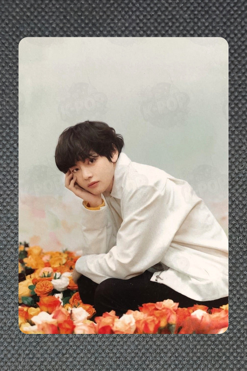 BTS WORLD TOUR 'LOVE YOURSELF'~JAPAN EDITION~ MINI PHOTO CARD V