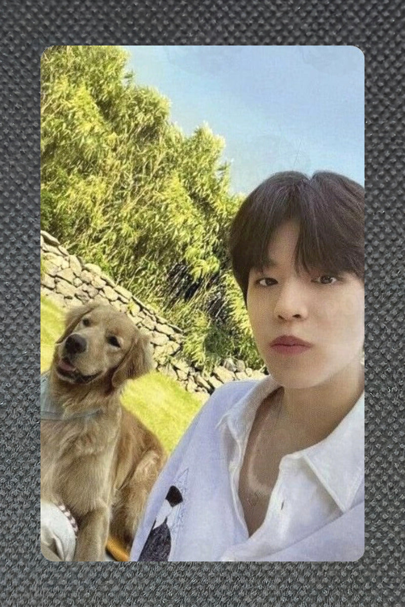 Stray Kids SKZ Seungmin Official ‘Stay in STAY’ in JEJU Photocard Kpop