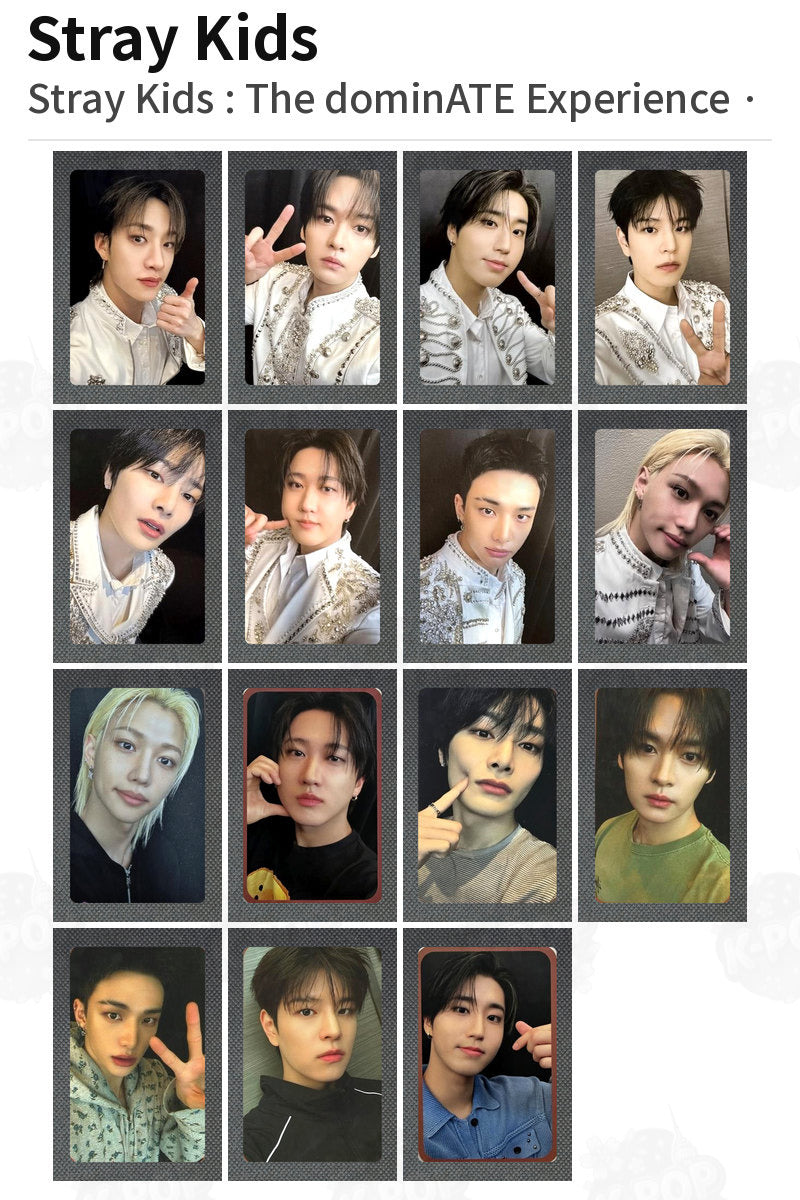 Stray Kids Stray Kids : The dominATE Experience Hyunjin