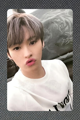 LEE KNOW