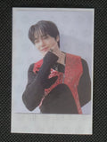 Stray Kids I.N Official ROCK(樂)-STAR PLATFORM ALBUM_NEMO VER. JYP SHOP Photocard