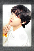 BTS WORLD TOUR 'LOVE YOURSELF'~JAPAN EDITION~ MINI PHOTO CARD V