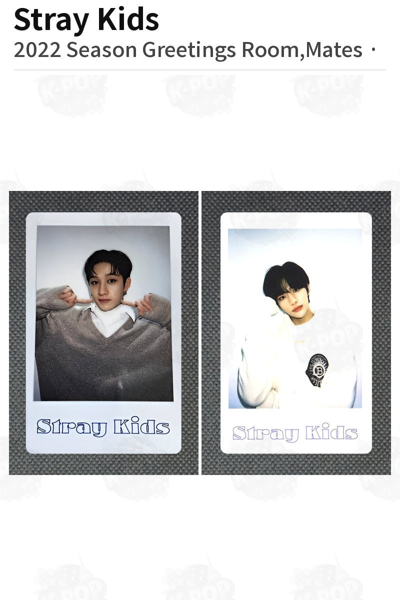Stray Kids 2022 Season Greetings Room,Mates HYUNJIN