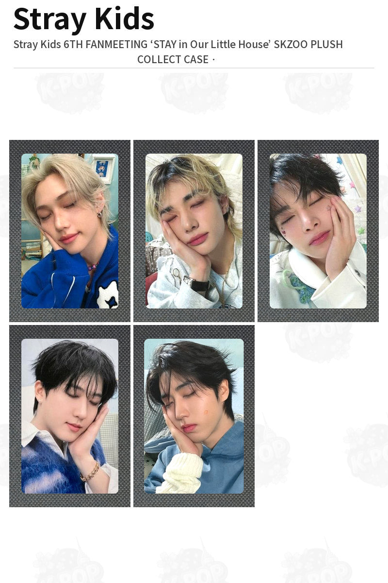 Stray Kids Stray Kids 6TH FANMEETING ‘STAY in Our Little House’ SKZOO PLUSH COLLECT CASE Han