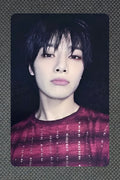 Stray Kids 合 HOP DEAR MY MUSE LEE KNOW