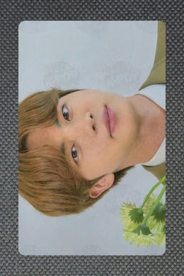 Jin