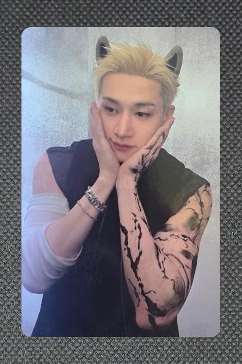 Stray Kids Stray Kids World Tour [RUN IT SEOUL] SKZOO PLUSH CROSS BAG Bang Chan