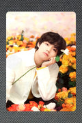 BTS WORLD TOUR 'LOVE YOURSELF'~JAPAN EDITION~ MINI PHOTO CARD V