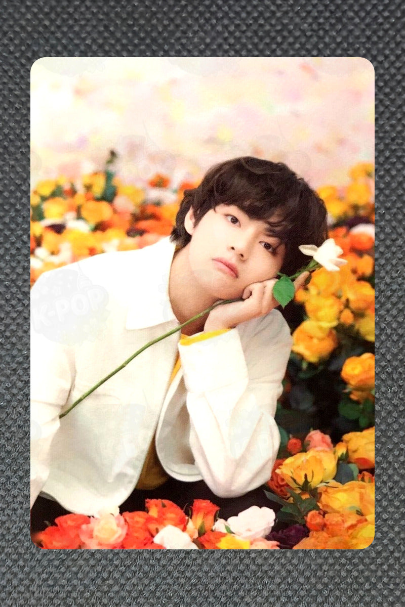 BTS WORLD TOUR 'LOVE YOURSELF'~JAPAN EDITION~ MINI PHOTO CARD V